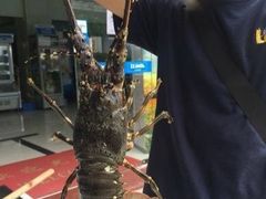 -蚝专家