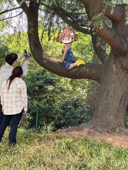 -七色田儿童摄影(静安店)