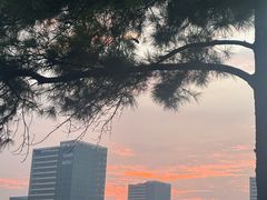 -美兰湖景区