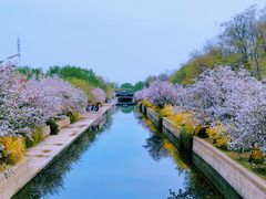 -元大都城垣遗址公园