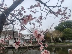 -无锡梅园公园