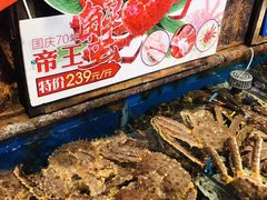 帝王蟹-开海·红岛海鲜虾水饺(石老人店)