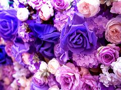 上海浪漫爱都婚礼策划-上海棕榈滩海景酒店