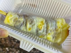 -内涵饵块