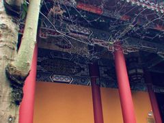 -都江堰普照寺