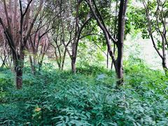 -西安汉城湖景区