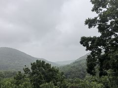 -南京老山国家森林公园