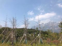 -白鹿洞书院