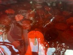 -中家鑫园温泉酒店鑫悦汤泉