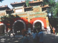 -姚记炒肝店(簋街店)
