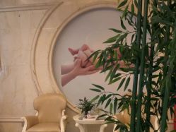 -蓓爱娇琪月子会所(虹口店)
