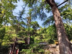 -青岛崂山太清宫