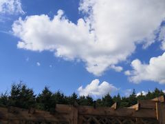 -白草畔自然风景区