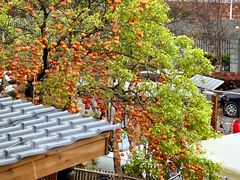 -田园印象·成都土菜院子(华阳店)