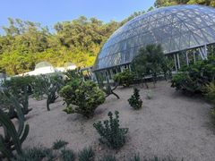 -深圳仙湖植物园