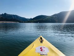 -天鹅湖生态旅游风景区