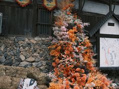-林坑古村落