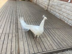 -昆明动物园