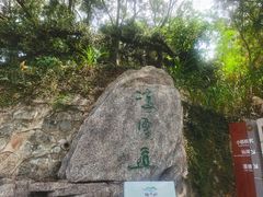 -梧桐山风景名胜区