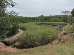 -盘龙城国家考古遗址公园