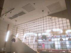 -南枝记