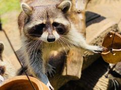 -南京金牛湖风景区