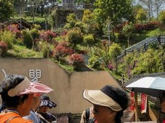 -海窝子刘鹅肉(总店)