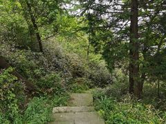 -北仑森林植物园