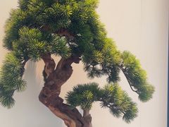 -炉忆家宴(红谷滩和昌里店)
