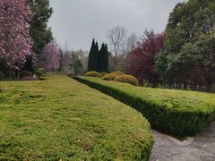 -洛阳市隋唐城遗址植物园