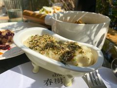 -春树下·树屋花房西餐厅(罍街AS1980店)