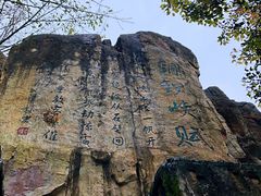 -铁山坪森林公园