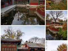 -宣武艺园