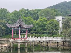 -青龙山国家森林公园