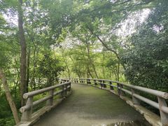 -西湖风景区-江洋畈生态公园