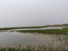 -北海金海湾红树林生态旅游区