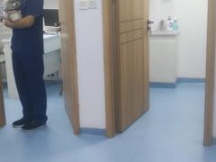 -博特宠物医院24h犬猫全科.骨科·异宠