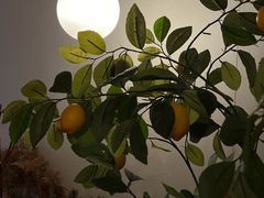 -Ten Olives甜点