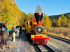 -莫尔道嘎国家森林公园