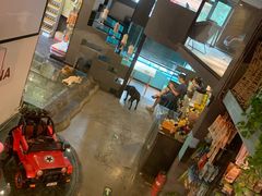 -百好乐宠物友好餐厅(朝外大街店)