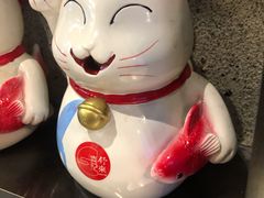 -舒来喜鱼锅(伊河路店)