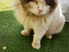 -小鱼草莓采摘园农家乐·小鱼餐厅