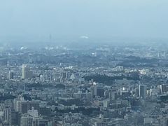 -东京都厅舍