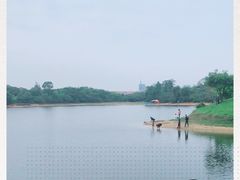 -松山湖南湖湾露营营地