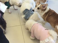 -怪兽屋·羊驼·猫咖·狗咖(俊华广场店)