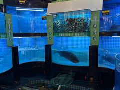 -千岛湖小鱼儿·淳安匠心农家菜