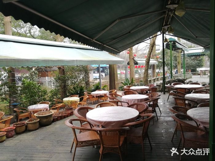 欣怡茶庄·梅家坞自家茶园图片 - 第213张