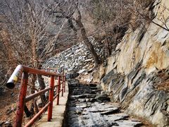 -北京鹫峰国家森林公园