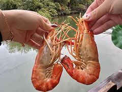 -欢乐蟹庄·精品农家乐(阳澄湖莲花岛店)