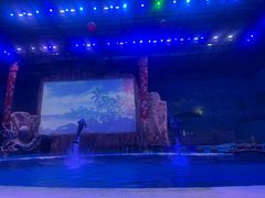 -华夏文旅海洋公园